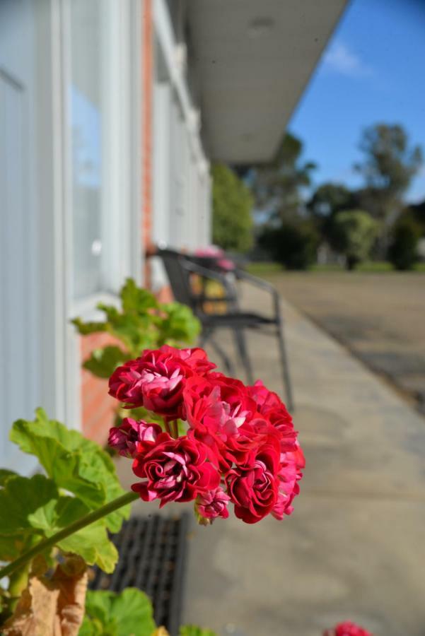 Ship Inn Motel Yarram Extérieur photo